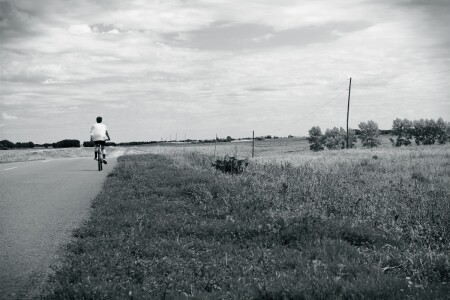 ... road ...