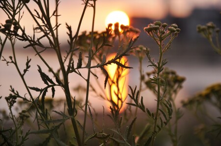 солнце садится...