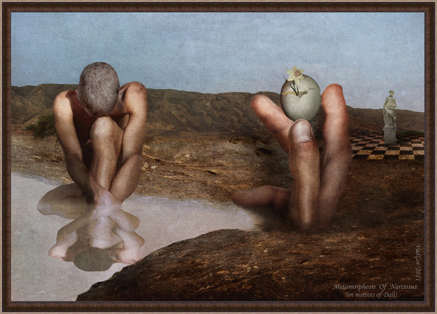 Metamorphosis Of Narcissus