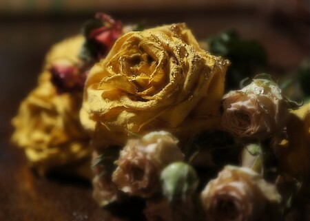 Сухой натюрморт в слезах