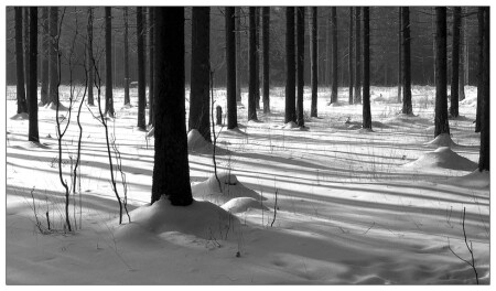 Чтоб не так жарко...