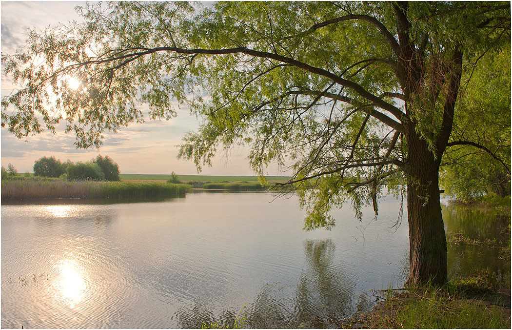 Карамельное утро