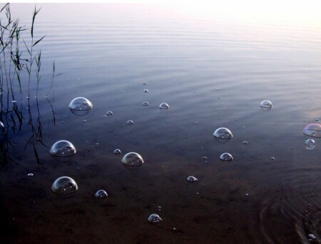 пузыри1