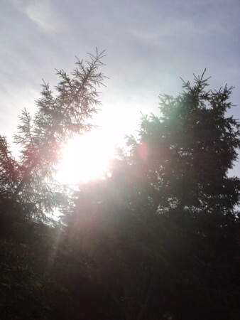 Настоящая жизнь