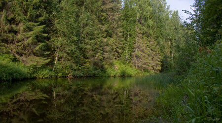 Река Княжая