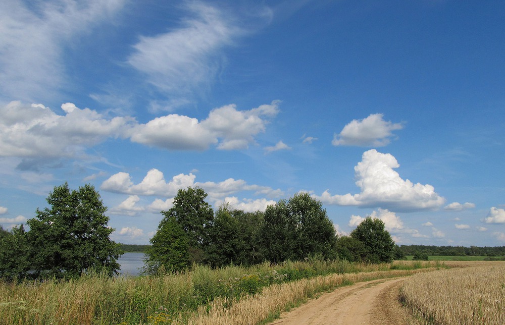 Дорога в лето