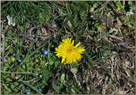 Вид сверху [16048]