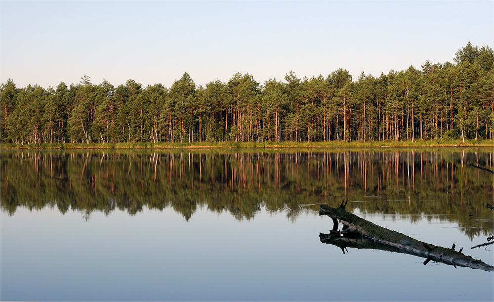 Лох-несс в Мухтоловском озере