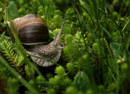 потерянный