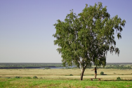 Над пропастью... во ржи))