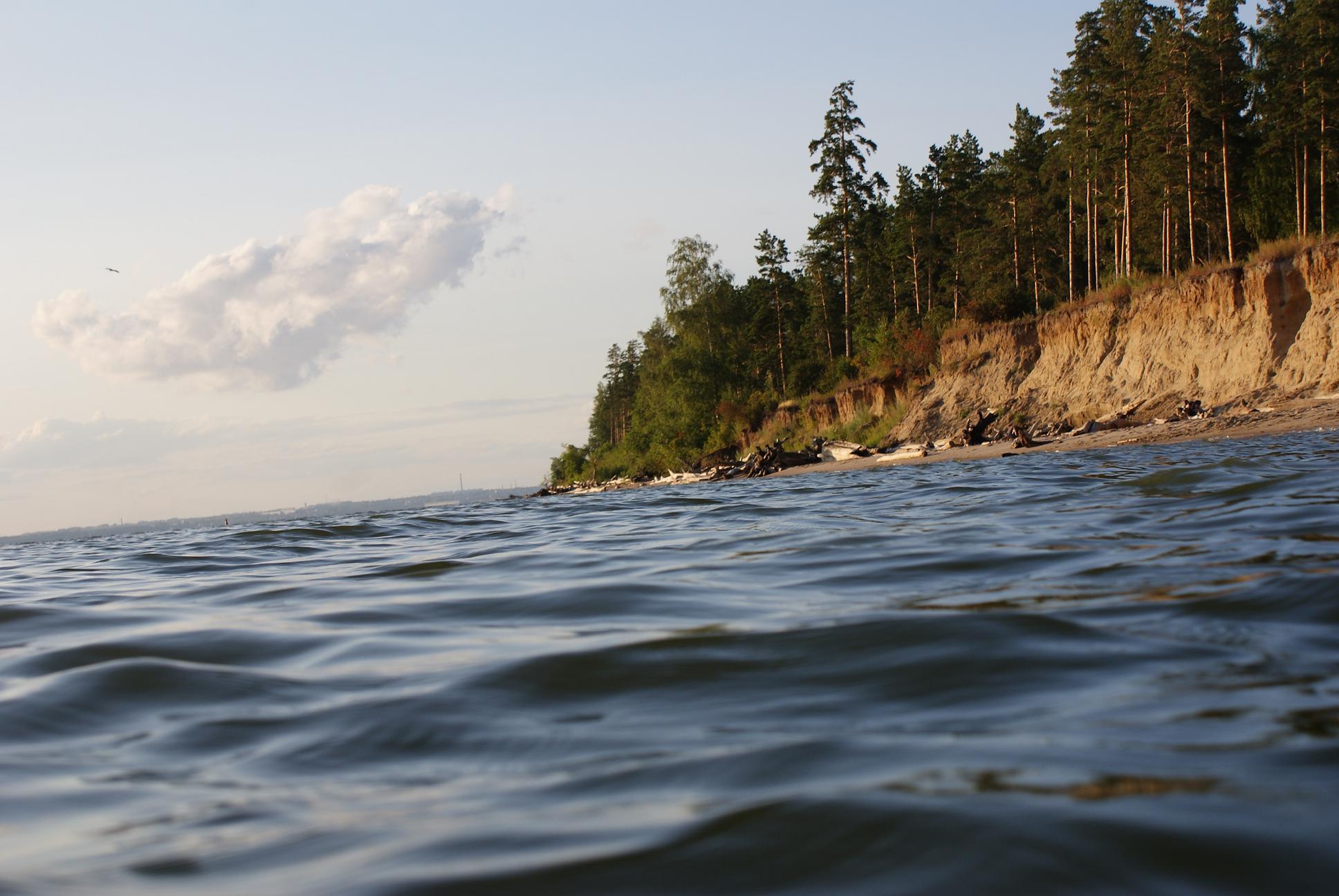 Обское море рыбалка. Обское водохранилище Бердск. Обское море Новосибирск Бердский залив. Залив Обское водохранилище. Река Обь и «Обское море».