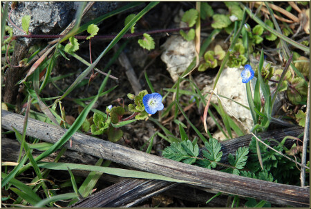 Закулисье [16170]