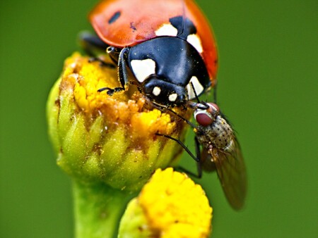 Привет! Давай знакомиться))))