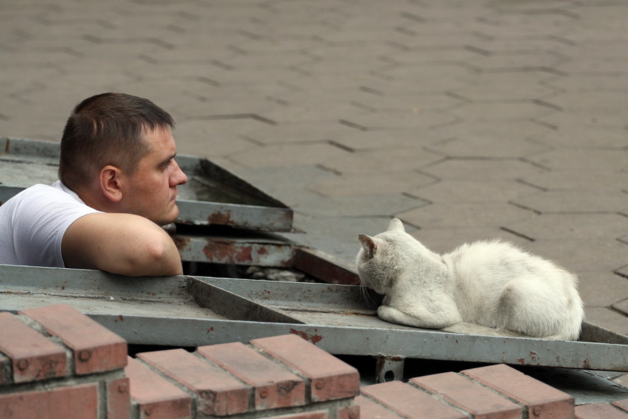 Ну что брат, жизнь в подвале не сахар?