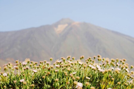 El Teide