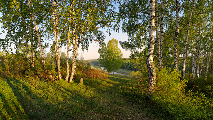 Тропинка в лето