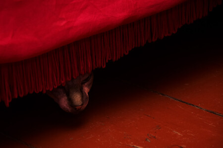 Потустороннее