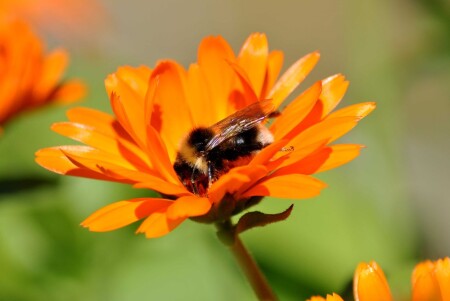 Маленькое чудо на крайнем севере