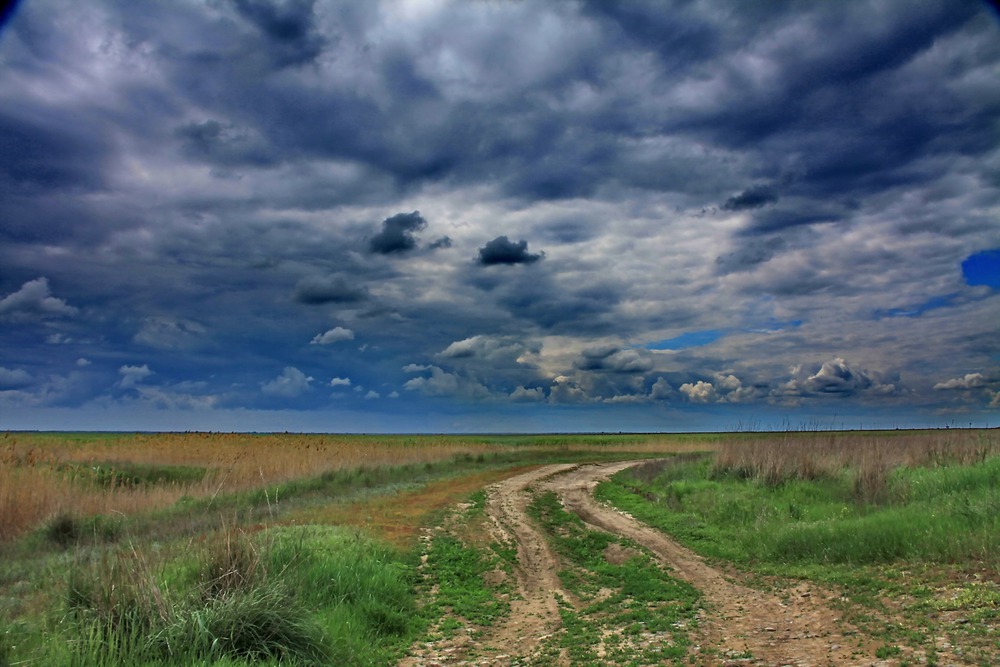 перед грозой