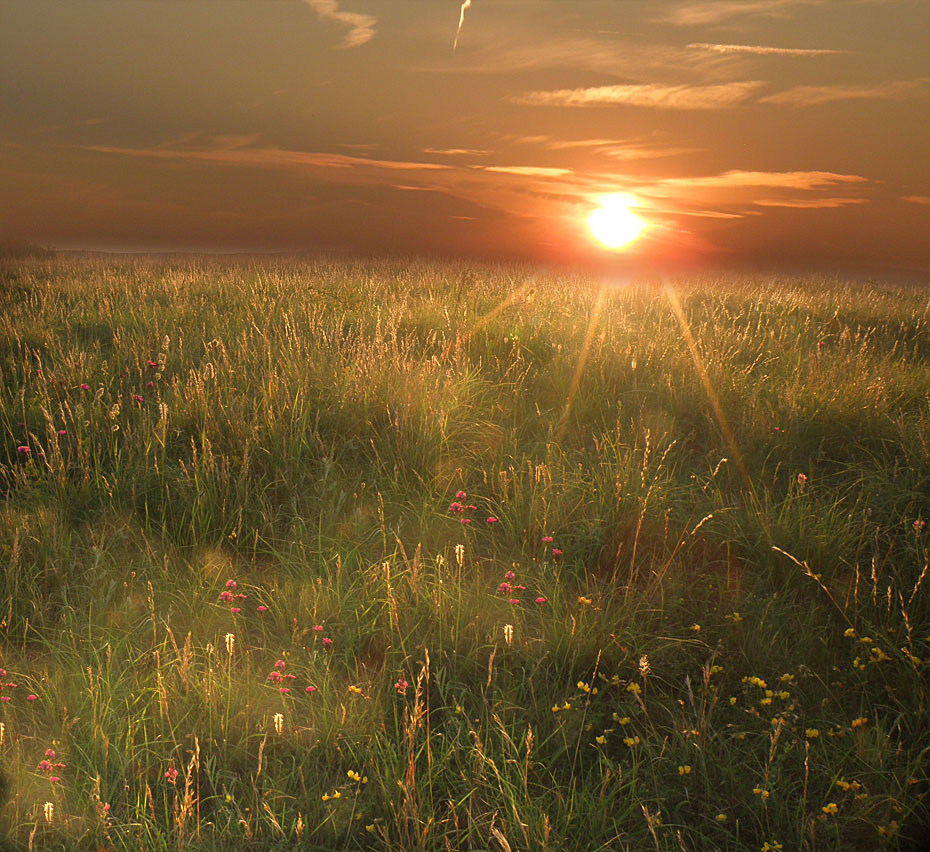 Лучи закатные