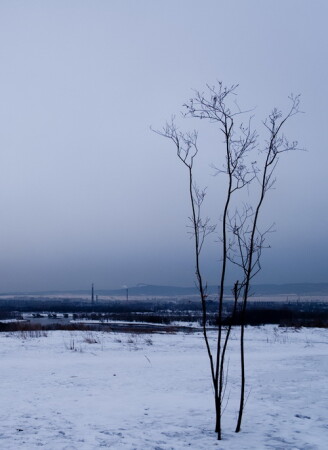 Зимняя графика