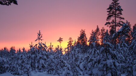 яркий закат 001