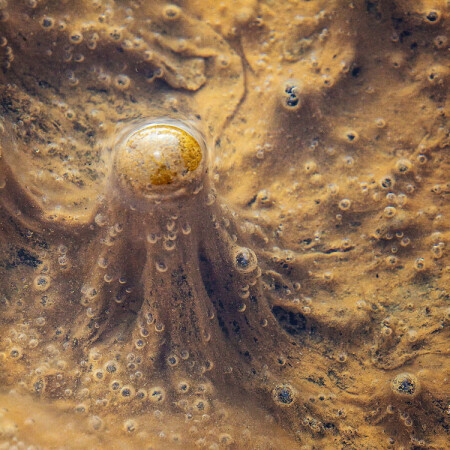 О, как! А что это?!