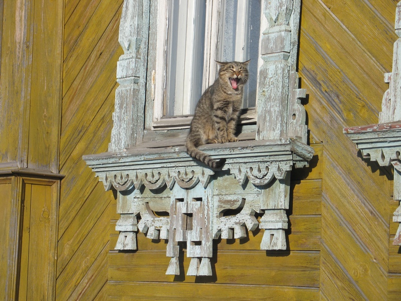 Вясна пришла