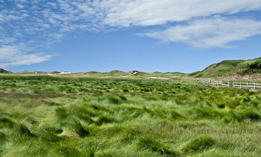 green waves