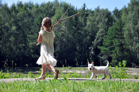 Важные дела