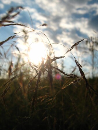 Закат у карьера