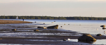 На берегу Северной Двины