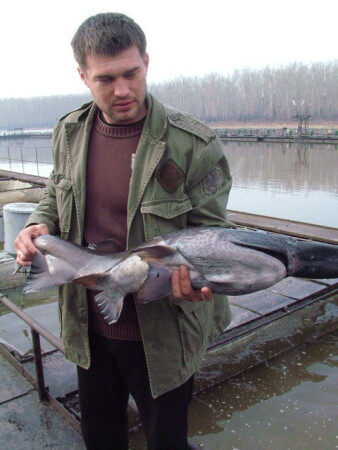 на мини-конкурс &amp;quot;Рыбный день&amp;quot;