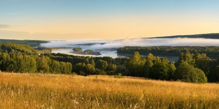 Туман в августе