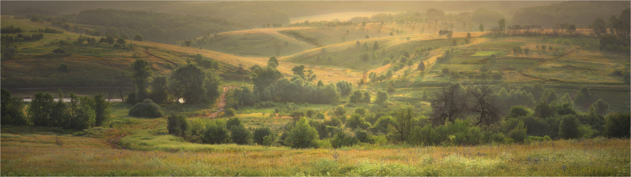 ДОБРОЕ УТРО...