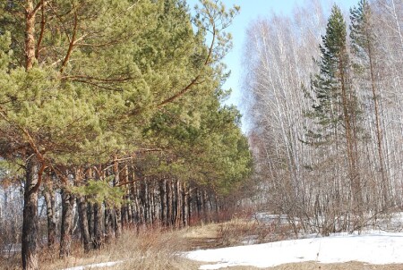 Межсезонье