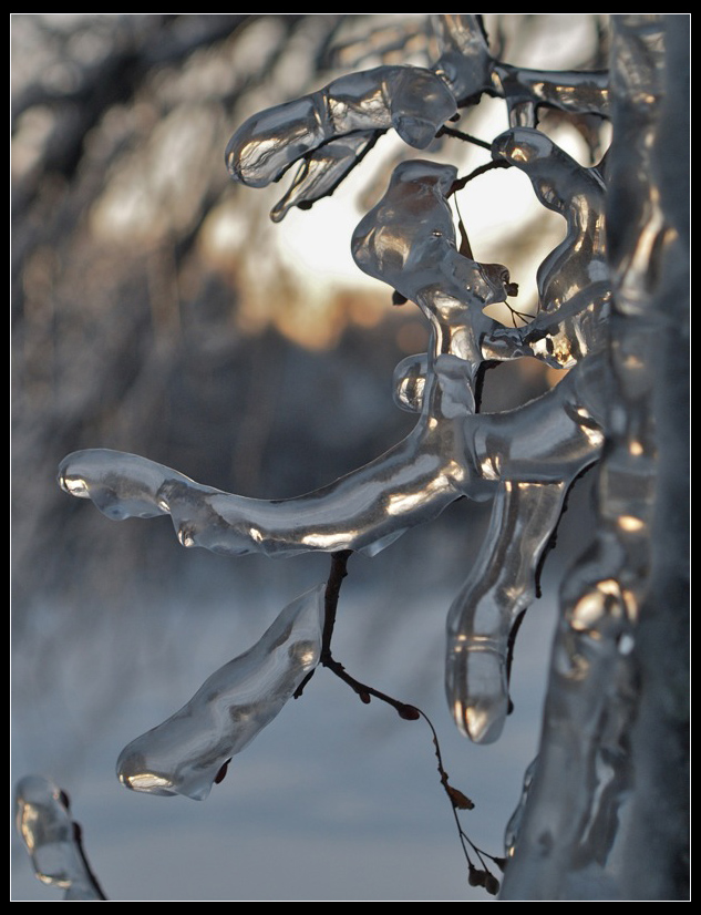 Ice Forms