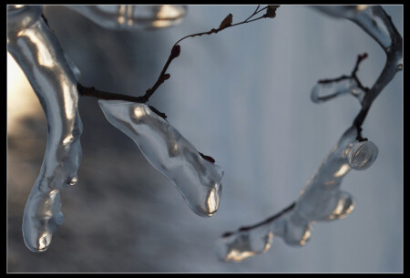Ice Forms