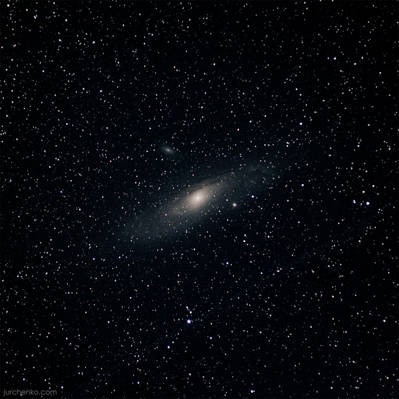 M31