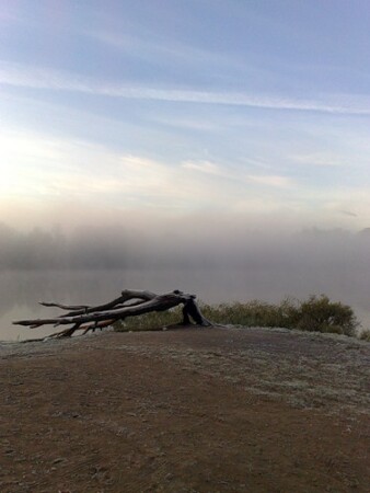 утро в Озерках 2