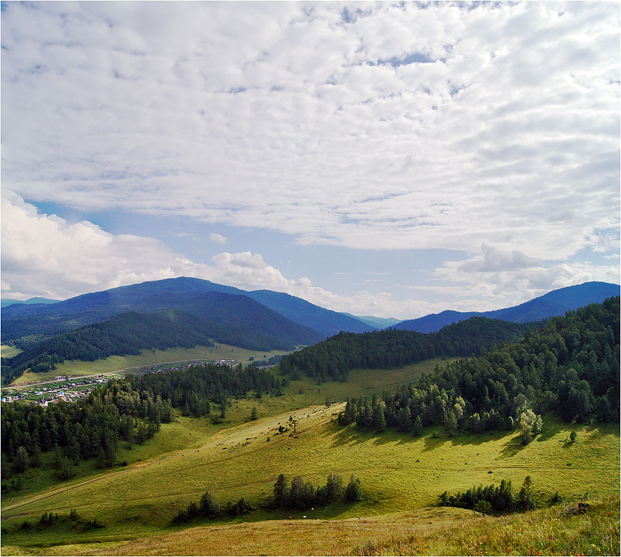 Алтайский лужок