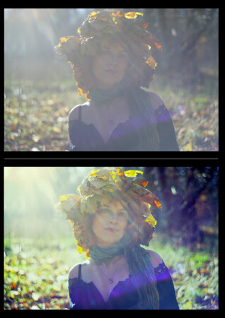 Лучистость осени в листве