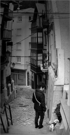 На прогулке