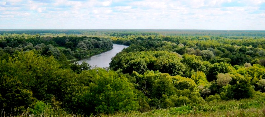 Бескрайний Брянский лес