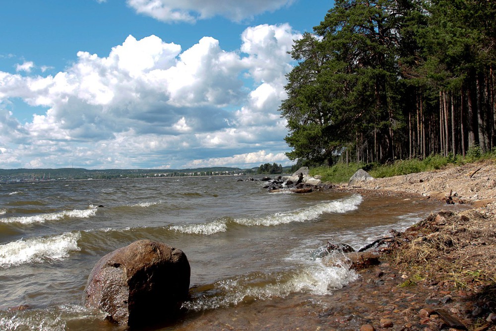 На берегу Белого моря