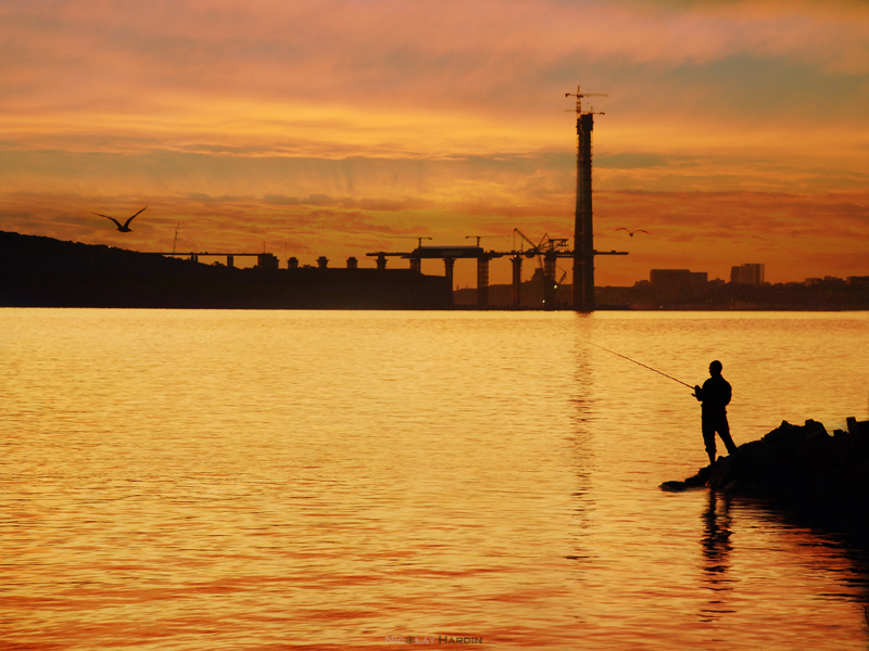 Golden fishing