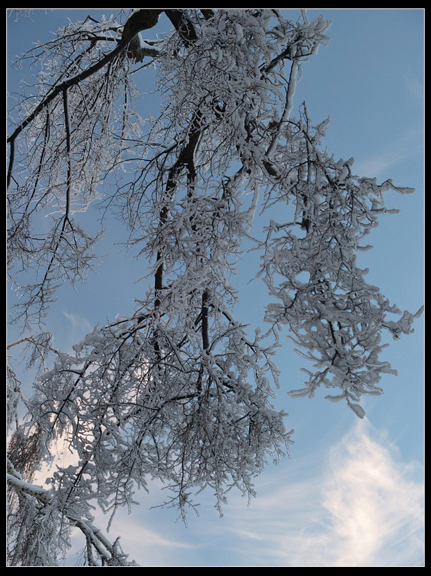 Ice Forms