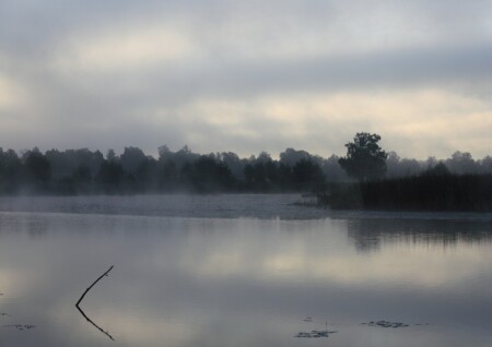 Утро на озере