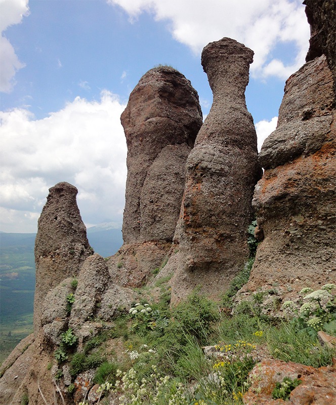 Камнедуши