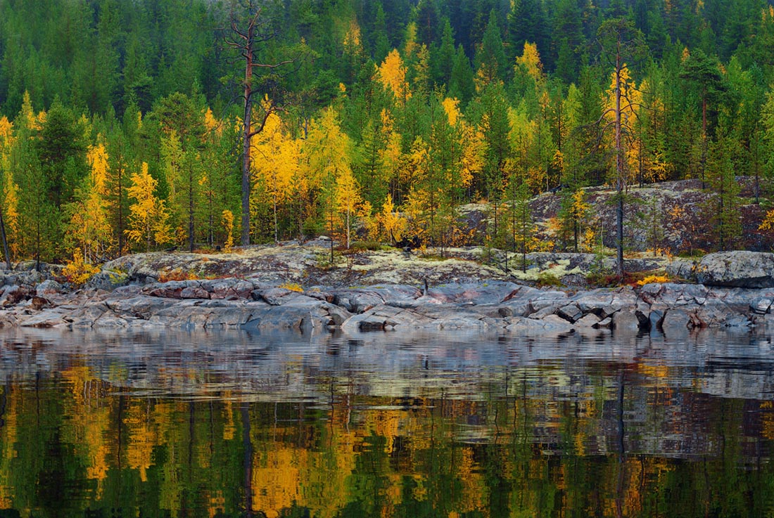 Осень на берегах Пиренги